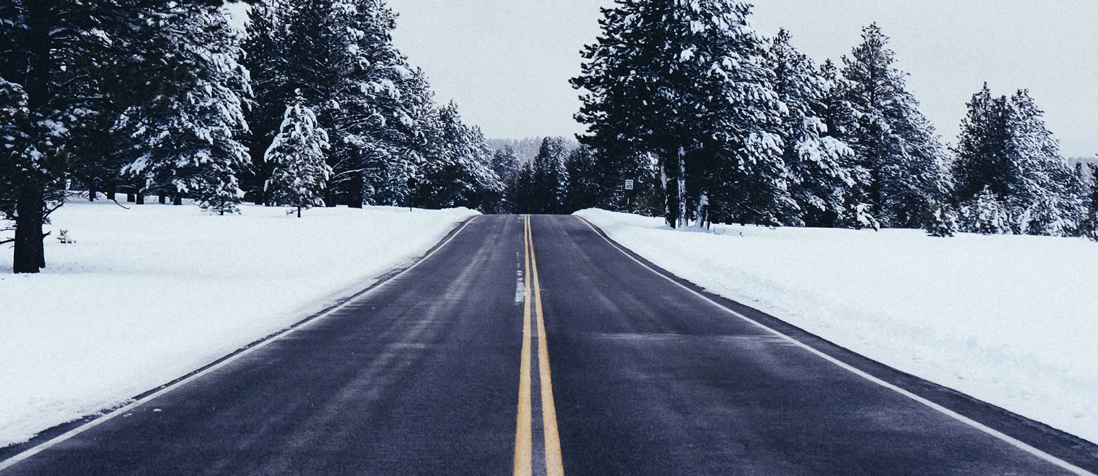 Is It Better to Invest in AWD or on Winter Tires? • LeaseCosts Canada