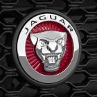 Jaguar Canada