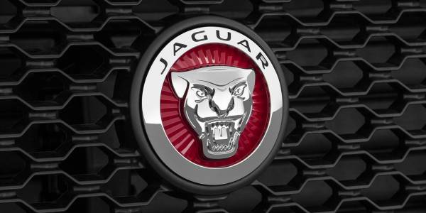 Jaguar Canada