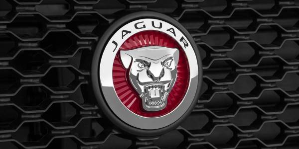 Jaguar Canada