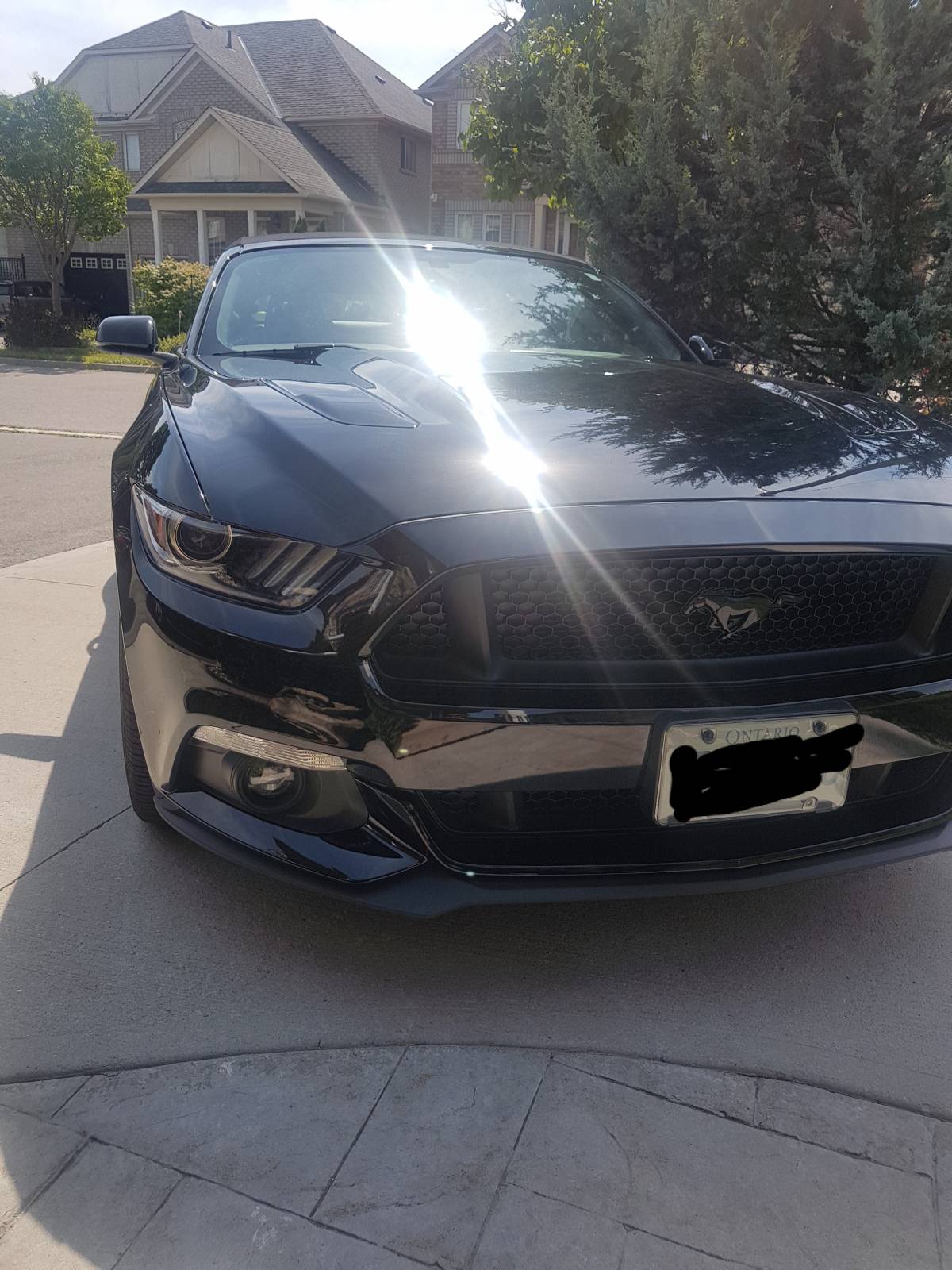 Mustang Gt Lease >> Ford Lease Takeover In Toronto On 2017 Ford Mustang Gt Manual 2wd Id 4005 Mustang Gt Lease >> Ford Lease Takeover In Toronto On 2017 Ford Mustang Gt Manual 2wd Id 4005