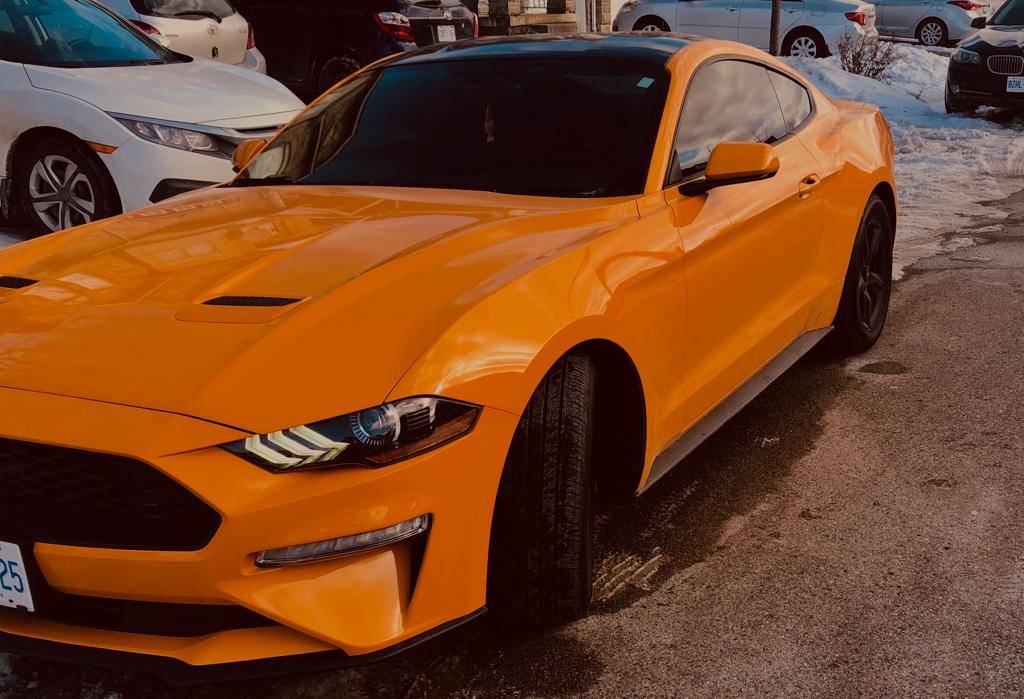 Cheapest Car To Lease Canada >> Ford Lease Takeover in Mississauga, ON: 2018 Ford Mustang Ecoboost Automatic AWD ID:#4273 ... Cheapest Car To Lease Canada >> Ford Lease Takeover in Mississauga, ON: 2018 Ford Mustang Ecoboost Automatic AWD ID:#4273 ...