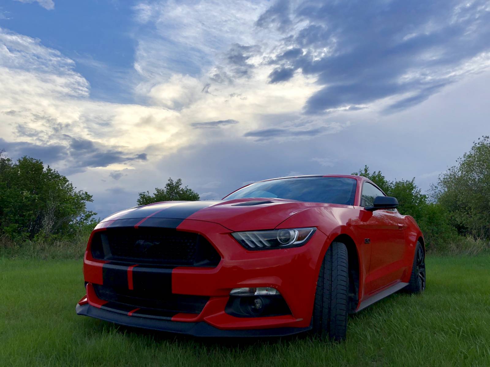 Ford Lease Takeover in Calgary, AB: 2017 Ford Mustang GT Premium Manual 2WD ID:#4642 ...