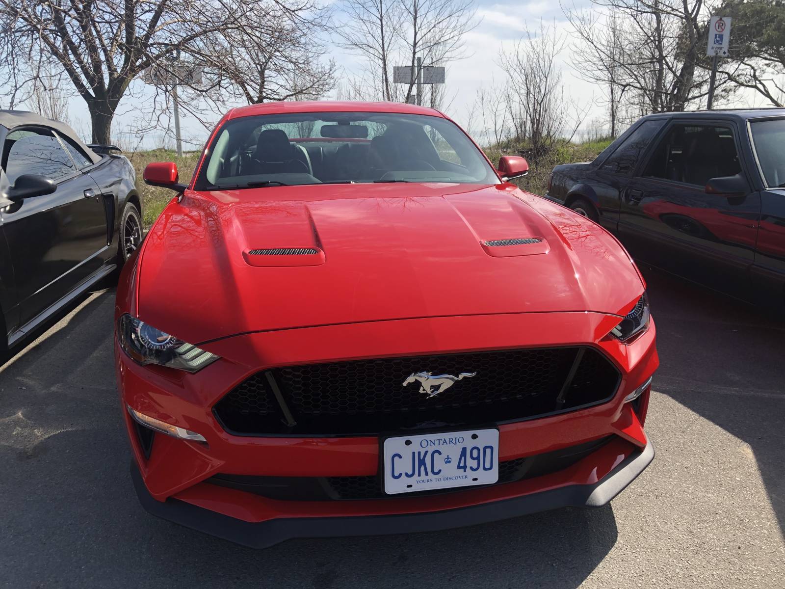 Ford mustang gt 2022