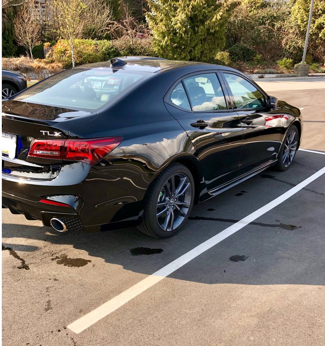 acura tlx bike rack