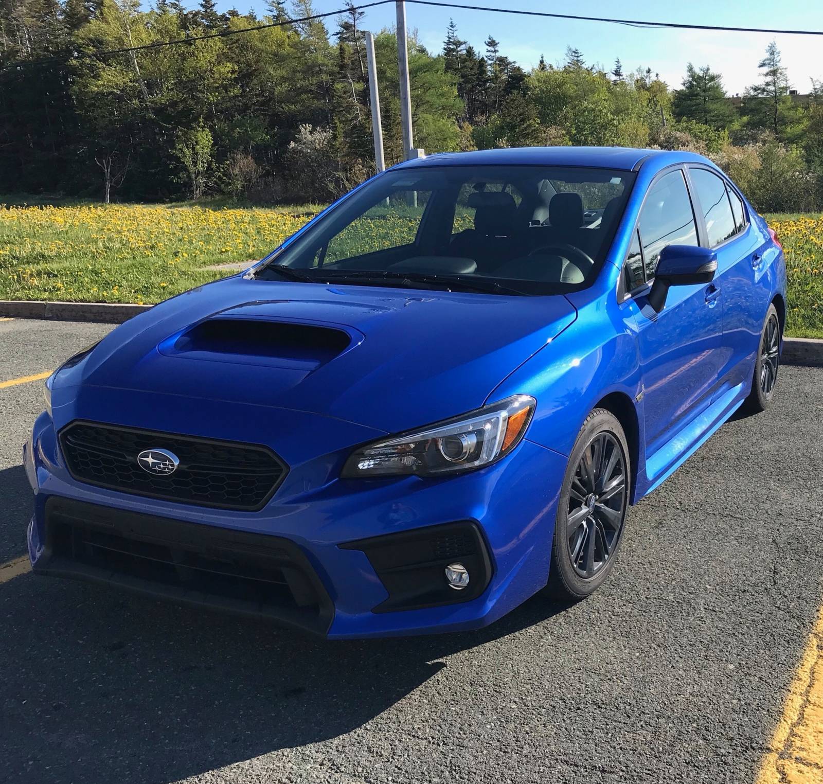 Subaru Lease Takeover in St. John's, NL: 2018 Subaru WRX ...