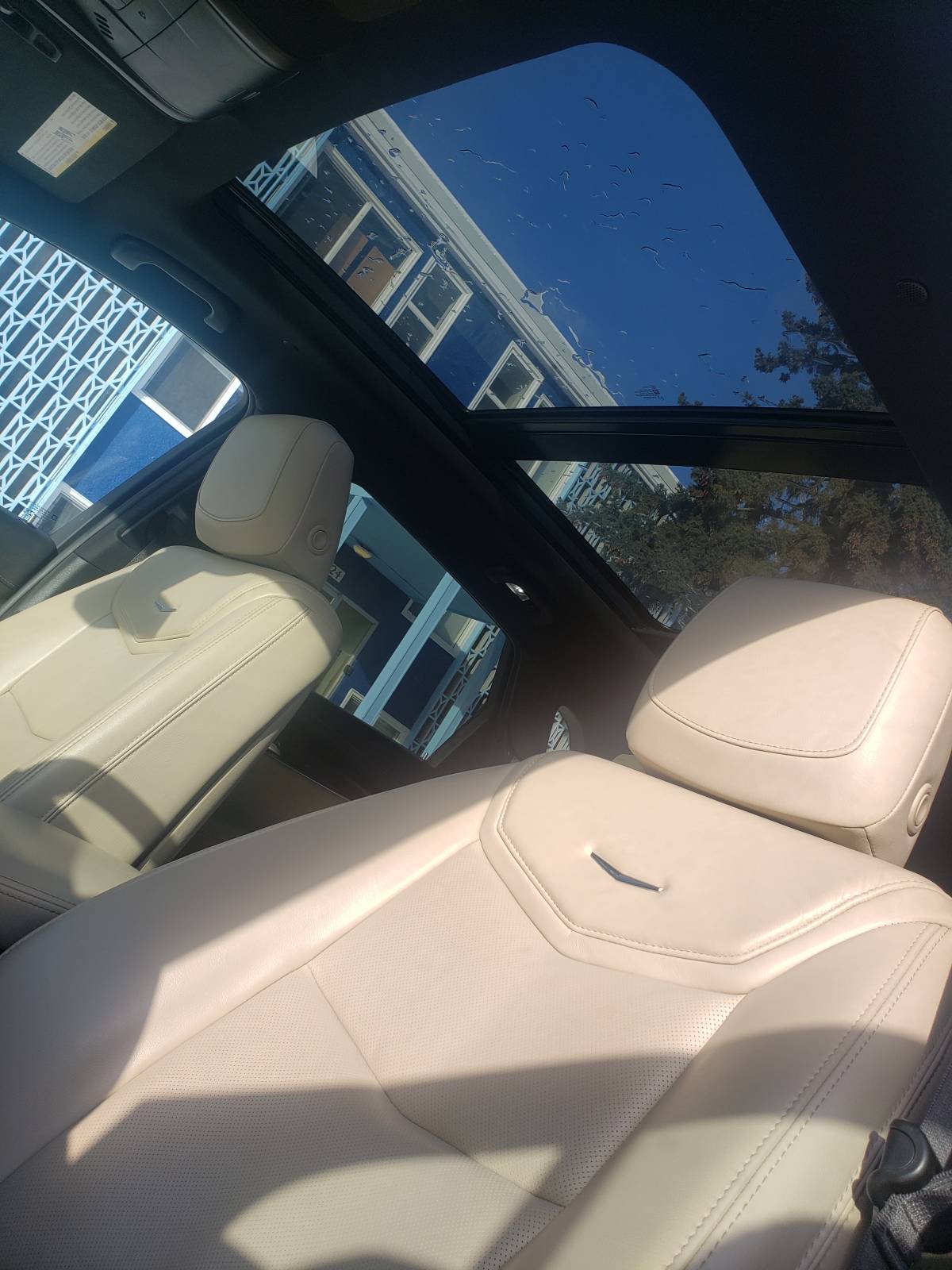 Cadillac Lease Takeover In Edmonton Ab 2018 Cadillac Xt5